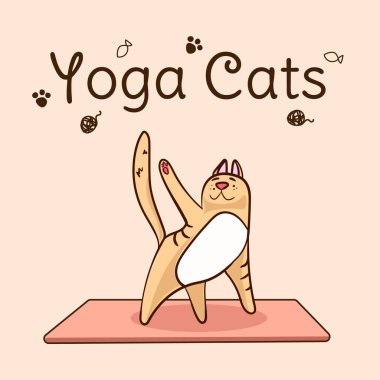 Uluslararası yoga günü, kedi yogası. Yoga pozu ve egzersiz. Renkli düz vektör el çizimi çizimi.