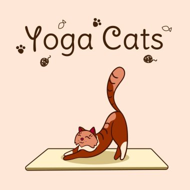 Uluslararası yoga günü, kedi yogası. Yoga pozu ve egzersiz. Renkli düz vektör el çizimi çizimi.