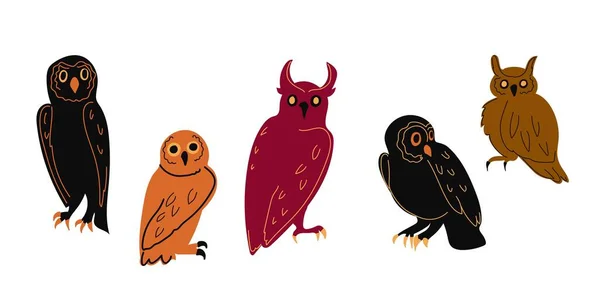 Owl Πουλί Κινουμένων Σχεδίων Διάνυσμα Σύνολο Απεικόνιση Του Εικονιδίου Vector — Διανυσματικό Αρχείο