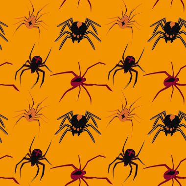 Kusursuz örümcekler. Tehlikeli örümcekler vektör arka planı. Zehirli örümcek kontur vektörü dizaynı. Cadılar Bayramı için örümcekler temalı basit vektör arkaplanı