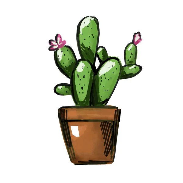 Aquarelle Cactus Plante Cactus Dessinée Main Illustration Vectorielle Isolée Sur — Image vectorielle