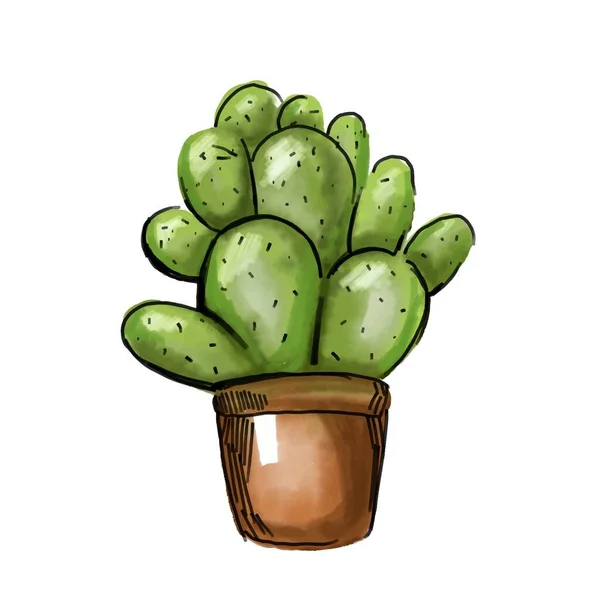 Kaktus Aquarell Kakteen Pflanze Handgezeichnet Vektor Illustration Isoliert Auf Weißem — Stockvektor