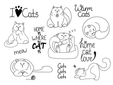 Şirin kedi koleksiyonu. Evcil komik kedicikler. Beyaz arkaplanda izole edilmiş doğrusal vektör çizimleri kümesi