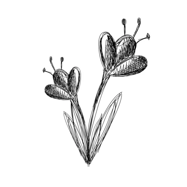 Цветок Чёрно Белый Набросок Вектор — стоковый вектор