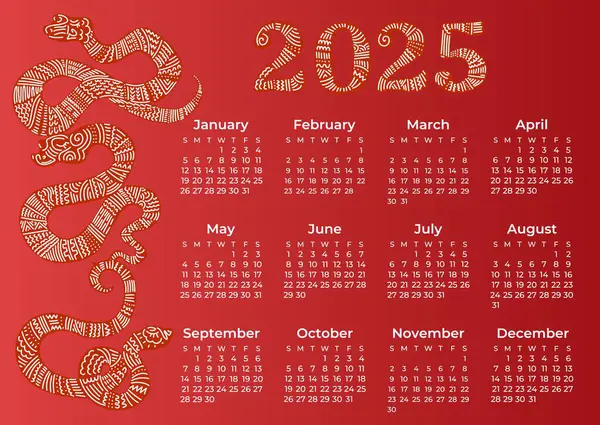 Takvim 2025, yılanlı, yılın sembolü. Vektör çizimleri. Hafta pazar günü başlıyor.