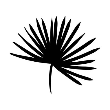 Düz bir dizaynda çeşitli şekil ve dokuları gösteren beş farklı siyah vektör yaprağından oluşan bir koleksiyon. Düzenleme, tropikal bitkilerin minimalist bir tarzda güzelliğini vurguluyor..