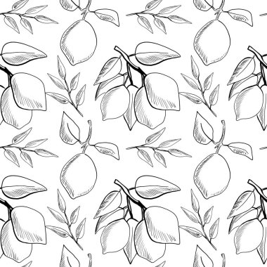 Bu tasarım, çeşitli projeler için taze ve canlı bir enerjiyi somutlaştıran, el yapımı limon ve taze beyaz arka planda yaprakların yinelenen bir örüntüsünü içerir..