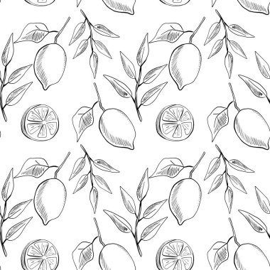 Limon, yaprak ve limon dilimlerinin zarif siyah ve beyaz çizimleri, modern tarzda ev dekorasyonu veya tekstil için ideal, tekrarlayan bir düzende düzenlenmiştir..