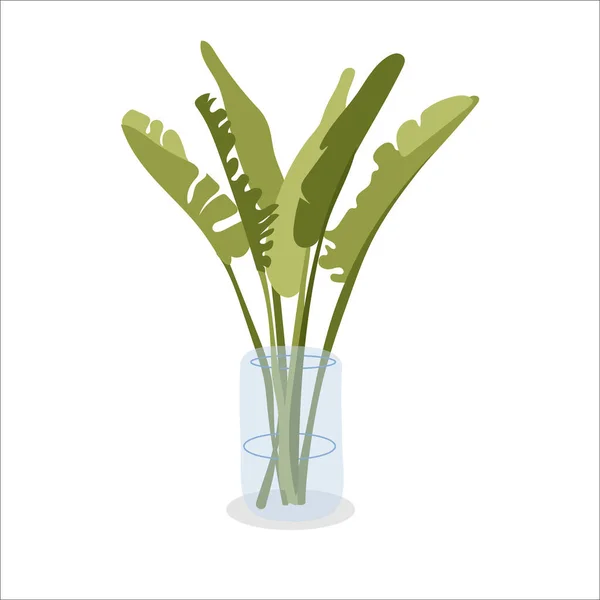 Bananenboom Bladeren Bloempot Palm Plant Binnenplant Voor Interieur Geïsoleerd Witte — Stockvector
