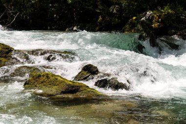 Slovenya 'da Kanlı Vintgar Geçitleri.