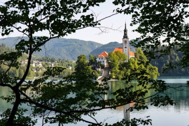 Slovenya 'da Göl Kanaması Hakkında Görüş.