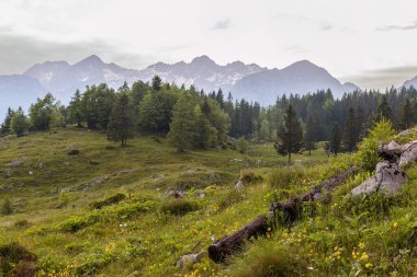 Sloven çiftçi tepesi - Velika Planina.