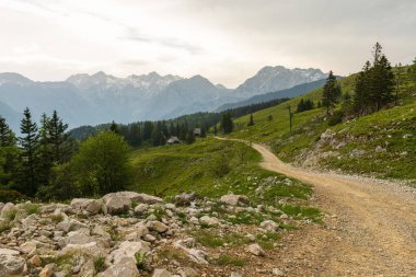 Sloven çiftçi tepesi - Velika Planina.