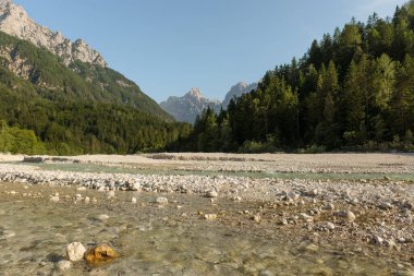 Kranjska Gora yakınlarındaki Alp manzarası - Slovenya.