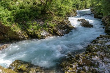 Slovenya 'da Kanlı Vintgar Geçitleri.