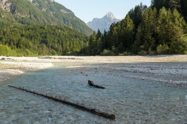 Kranjska Gora yakınlarındaki Alp manzarası - Slovenya.