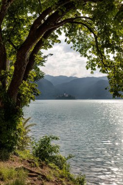 Slovenya Alplerinde Kanlı Gölden Vista.