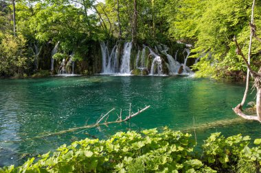 Plitvice Ulusal Parkı 'ndaki Turkuaz şelaleleri - Hırvatistan.