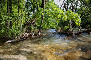 Plitvice Ulusal Parkı 'ndaki Turkuaz Gölü - Hırvatistan.