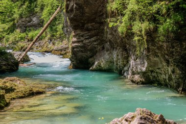 Slovenya 'da Kanlı Vintgar Geçitleri.