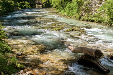 Slovenya 'da Kanlı Vintgar Geçitleri.