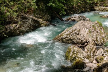 Slovenya 'da Kanlı Vintgar Geçitleri.