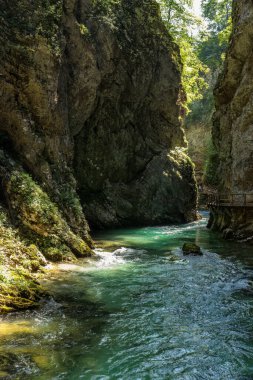 Slovenya 'da Kanlı Vintgar Geçitleri.