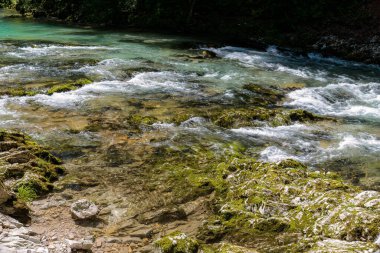 Slovenya 'da Kanlı Vintgar Geçitleri.