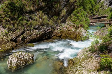 Slovenya 'da Kanlı Vintgar Geçitleri.