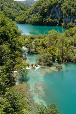 Plitvice Ulusal Parkı 'ndaki Turkuaz Gölü - Hırvatistan.