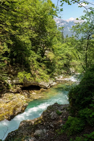 Вінтґарські Ущелини Поблизу Бледі Словенії — стокове фото