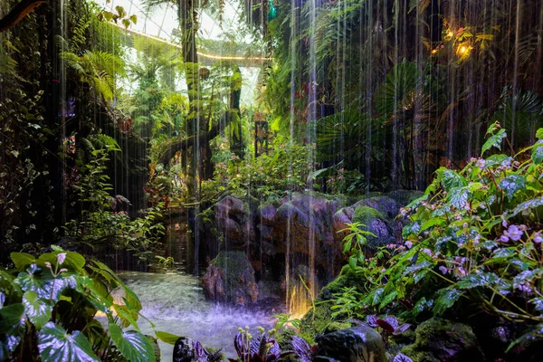 stock image Tiny artificial waterfall ion lush vegetation and illuminated with purple light.