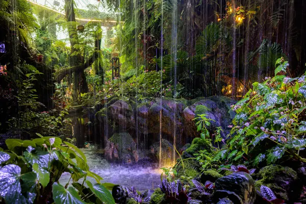 Küçük yapay şelale İyon yemyeşil bitki örtüsü ve mor ışıkla aydınlatılmış.