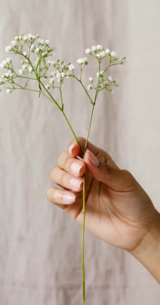 Pessoa Segurando Uma Flor Flores Brancas — Vídeo de Stock