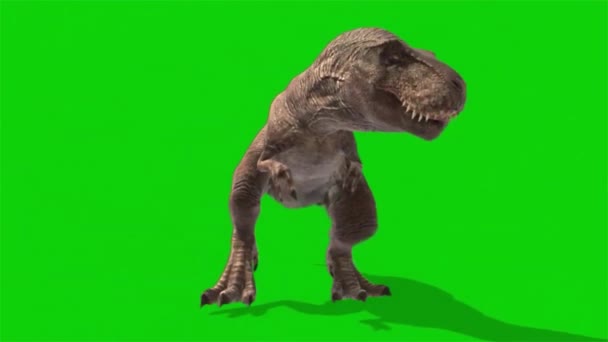 Yeşil Zemin Üzerinde Yeşil Bir Dinozorun Gölgesi Dinozor Yeşili Video — Stok video