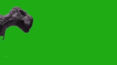 Yeşil çimlerde yeşil dinozor