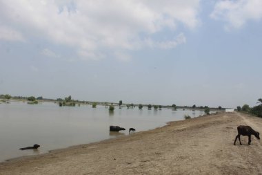 Etkilenen insanlar için sel acil durum tepkisi 