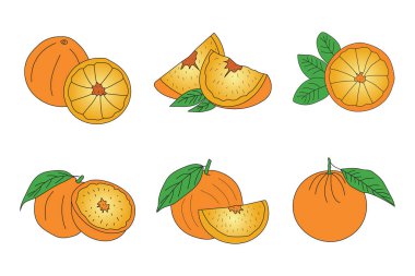 Beyaz arkaplanda izole edilmiş turuncu logo tipi simge seti - vektör