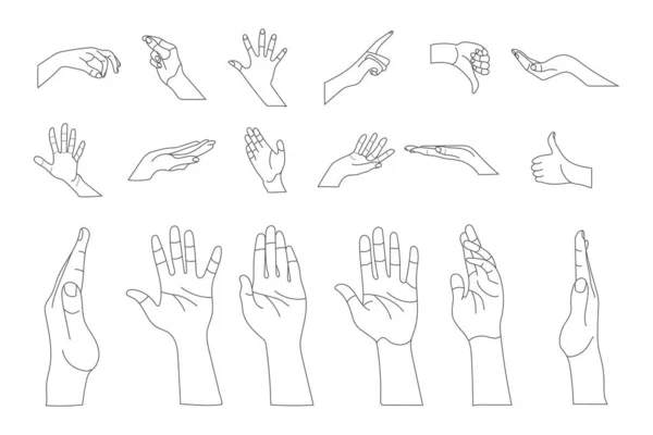 Human Hand Gestures Set Minimal Line Art Illustrations Thumb Pointing — Stock Vector