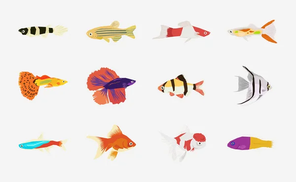 Ενυδρείο Fish Διάνυσμα Επίπεδη Σχεδίαση — Διανυσματικό Αρχείο