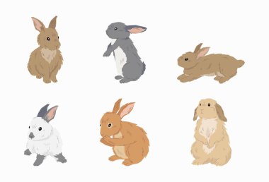 Düz dizaynlı şirin tavşan vektörü