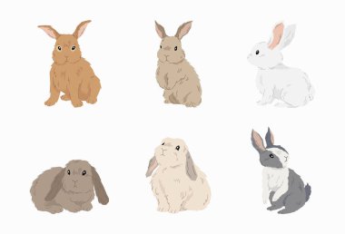 Düz dizaynlı şirin tavşan vektörü