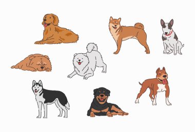 Düz dizaynda köpek vektörü