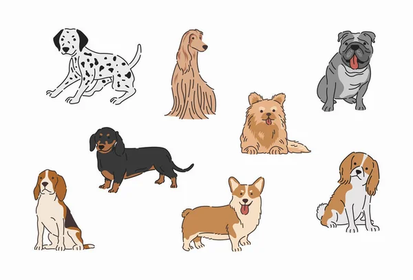 Σκύλοι Διάνυσμα Επίπεδη Σχεδίαση — Διανυσματικό Αρχείο