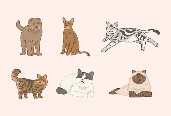 Roztomilé Kočky Plochém Designu — Stockový vektor