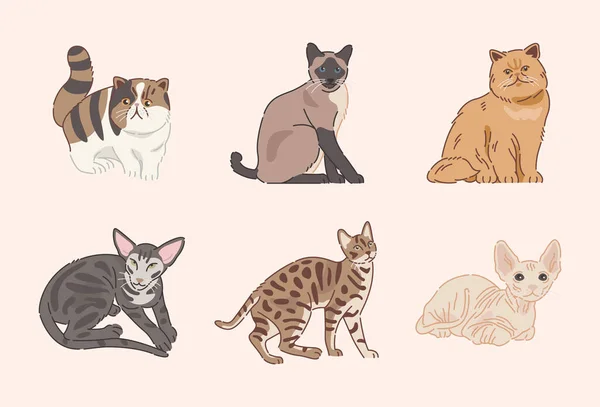 平板设计中的可爱猫 — 图库矢量图片