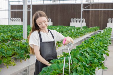 young teen lady farmer happy take care plant products with love. modern agriculture plantation in greenhouse.