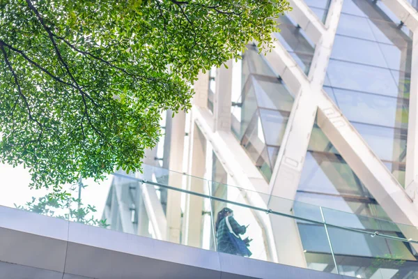 Green City Green Tree Urban Office Building Cool Fresh Air — Stock Photo, Image
