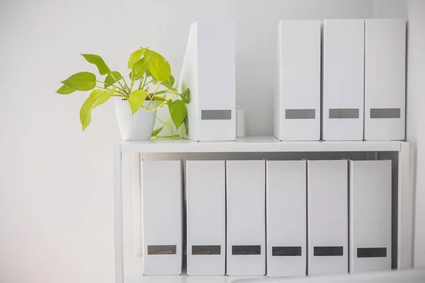 Office Interior Decoration Row Paper Box Business Files Documents Management — Stock Photo, Image