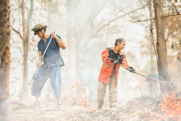 Voluntarios Equipo Lucha Contra Incendios Personas Están Extinguiendo Los Incendios — Foto de Stock